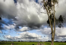 2018年世界杯巴西队为何没能夺冠？